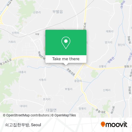 쇠고집
