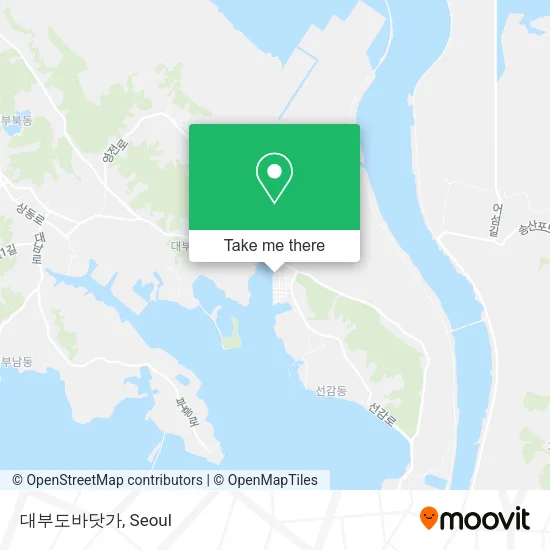 대부도바닷가 map