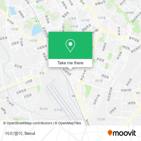 머리쟁이 map