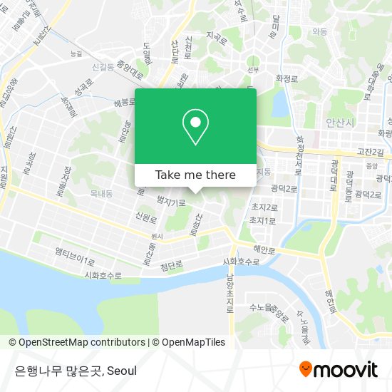 은행나무 많은곳 map