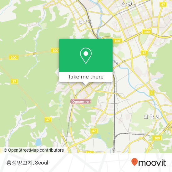 흥성양꼬치 map