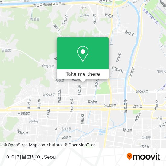 아이러브고냥이 map