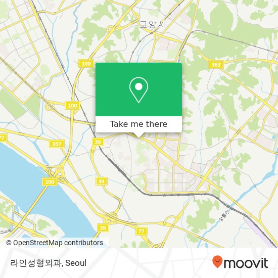 라인성형외과 map