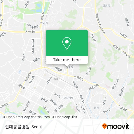 현대동물병원 map
