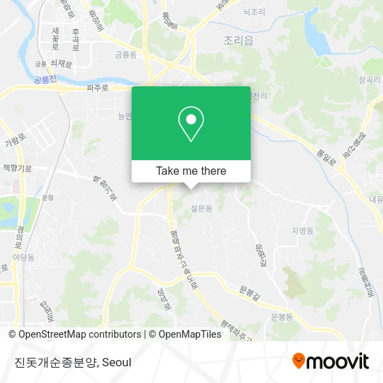 진돗개순종분양 map
