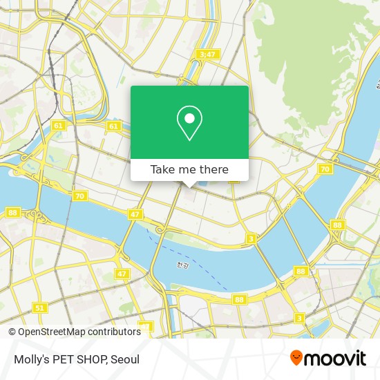 Molly's PET SHOP map