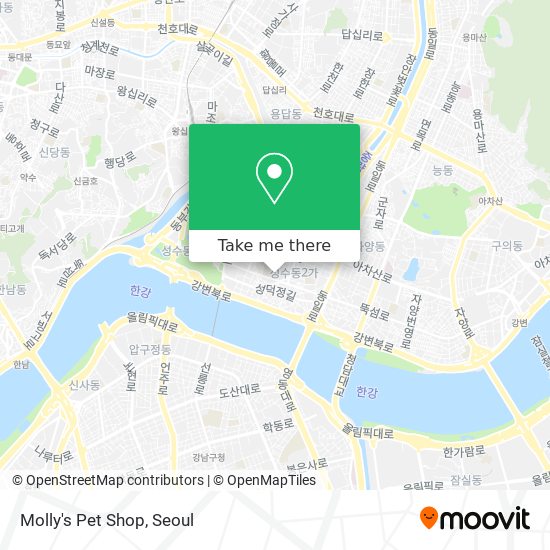 Molly's Pet Shop map