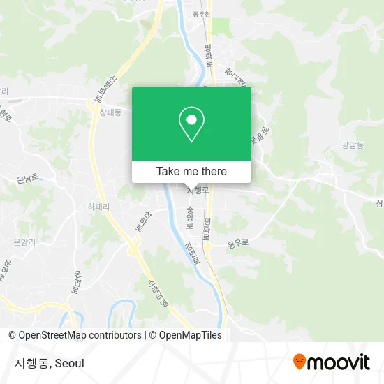 지행동 map