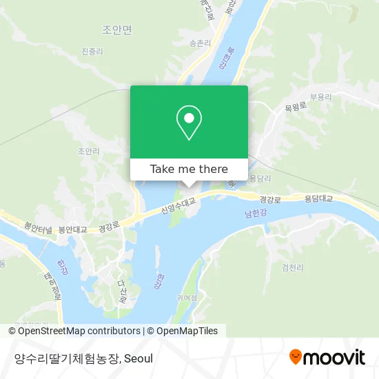 양수리딸기체험농장 map
