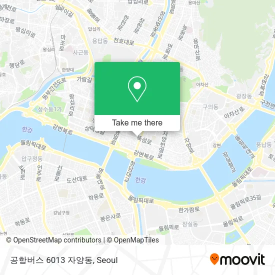 공항버스 6013 자양동 map