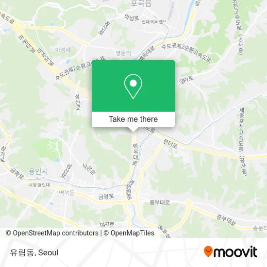 유림동 map