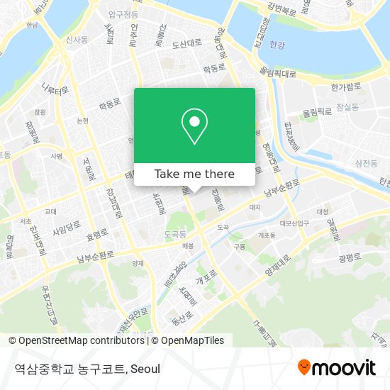 역삼중학교 농구코트 map