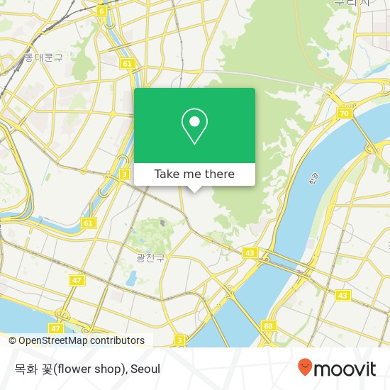 목화 꽃(flower shop) map