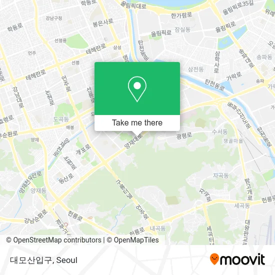 대모산입구 map