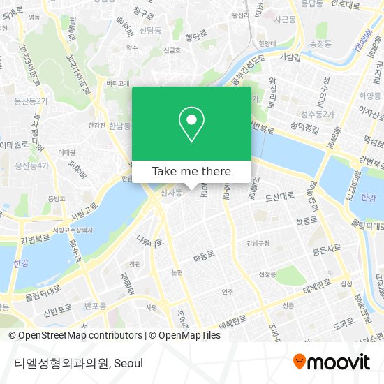 티엘성형외과의원 map