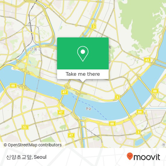 신양초교앞 map