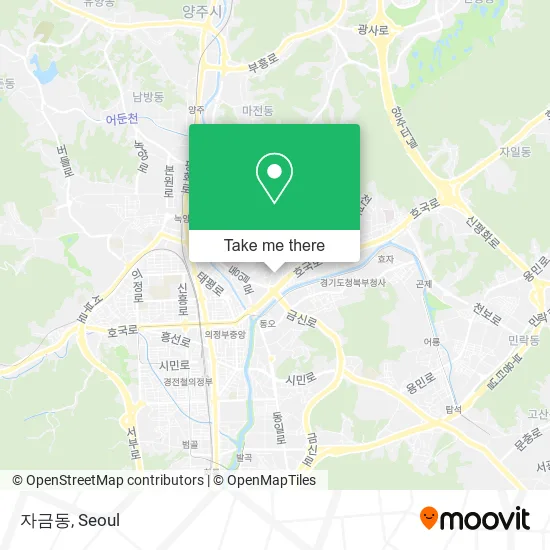 자금동 map