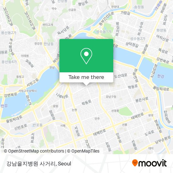 강남을지병원 사거리 map