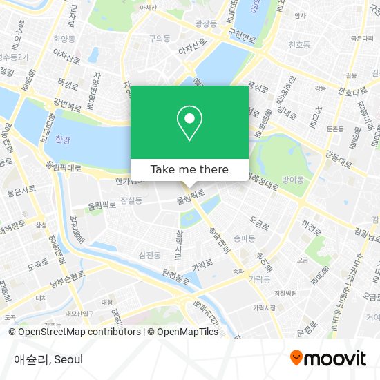 애슐리 map