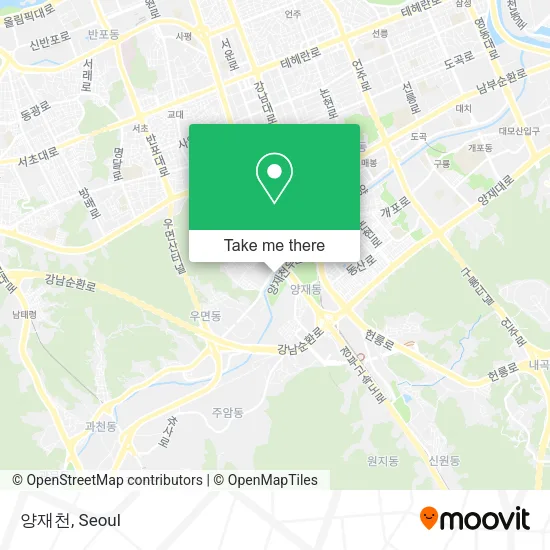 양재천 map