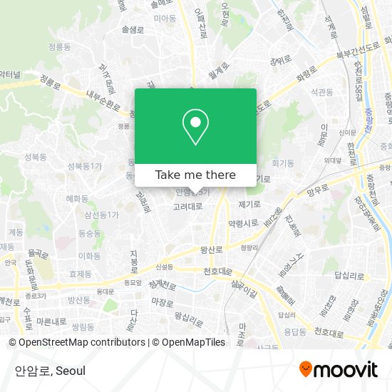안암로 map