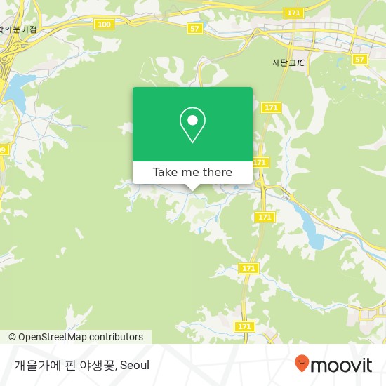 개울가에 핀 야생꽃 map