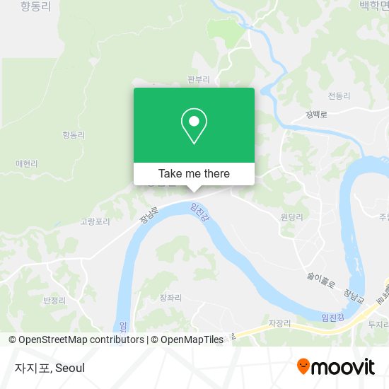 자지포 map