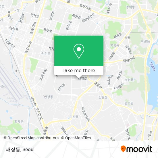 태장동 map