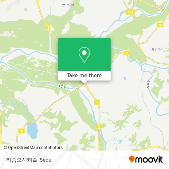 리솜오션캐슬 map