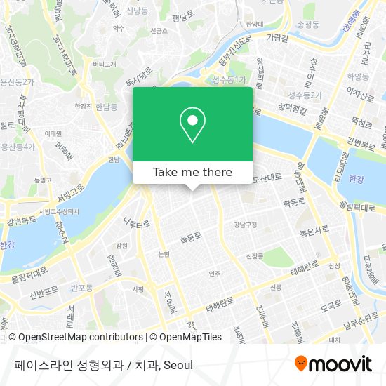 페이스라인 성형외과 / 치과 map