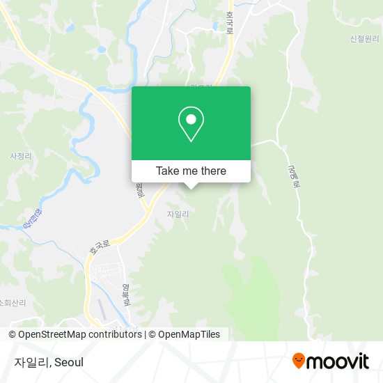 자일리 map