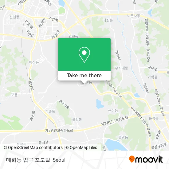 매화동 입구 포도밭 map