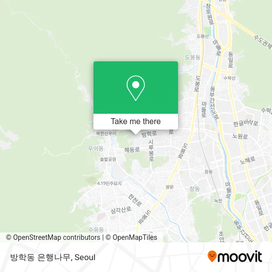 방학동 은행나무 map