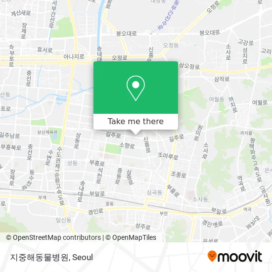 지중해동물병원 map
