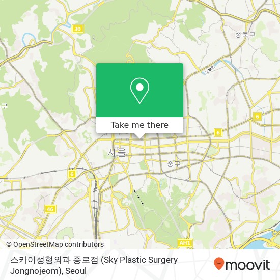 스카이성형외과 종로점 (Sky Plastic Surgery Jongnojeom) map