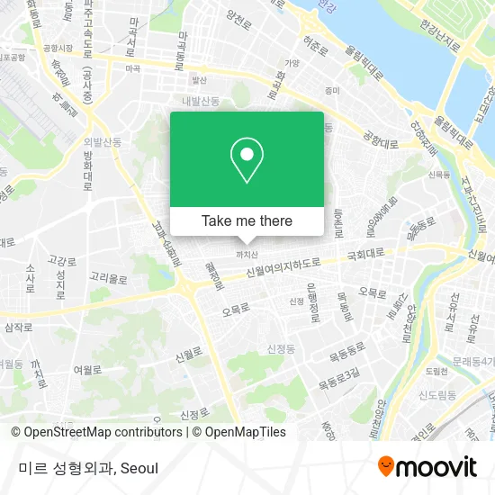 미르 성형외과 map