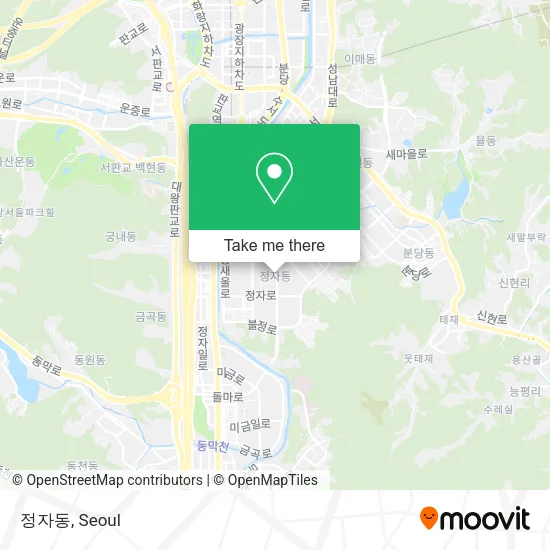 정자동 map