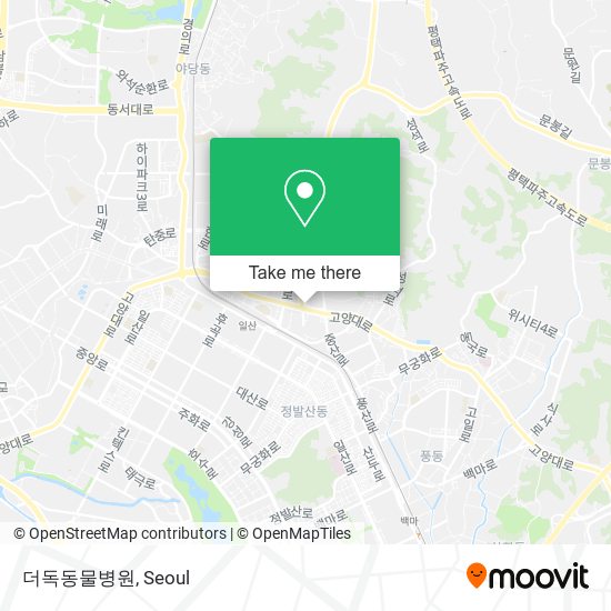 더독동물병원 map
