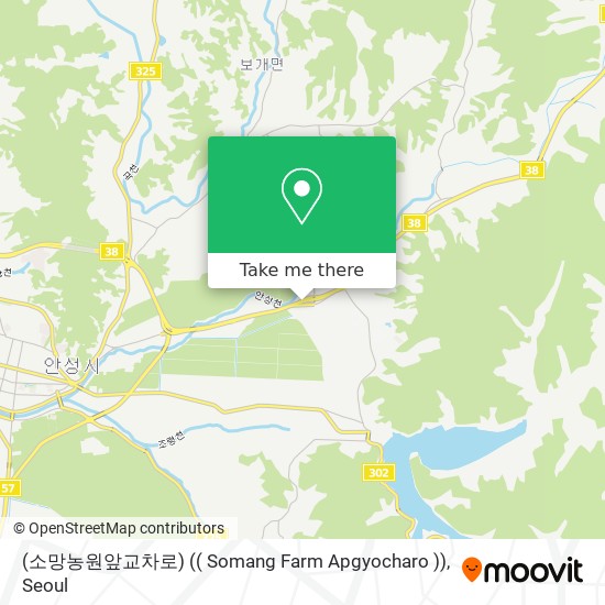 (소망농원앞교차로) (( Somang Farm Apgyocharo )) map