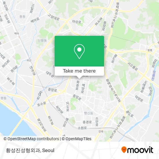 황성진성형외과 map