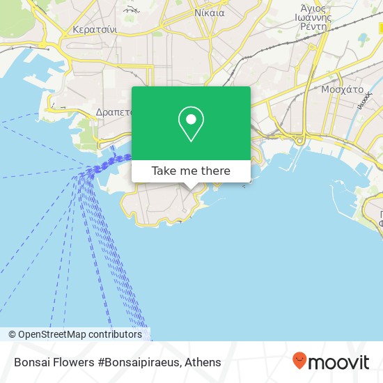 Bonsai Flowers #Bonsaipiraeus map