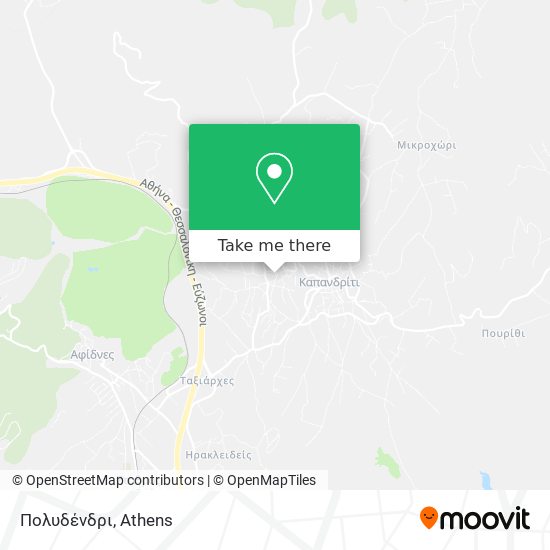 Πολυδένδρι map