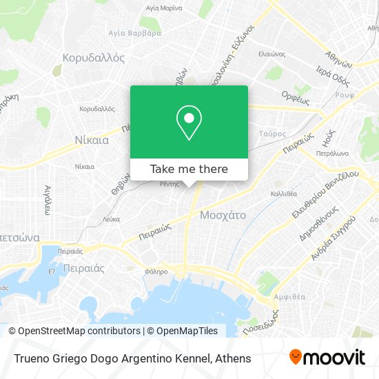 Trueno Griego Dogo Argentino Kennel map