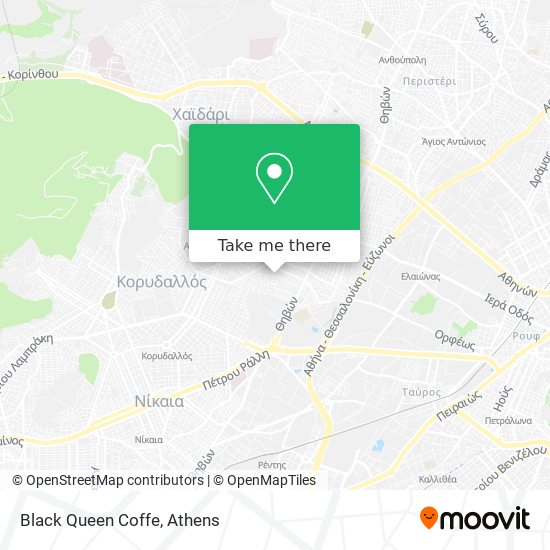 Black Queen Coffe map