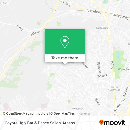 Coyote Ugly Bar & Dance Sallon map