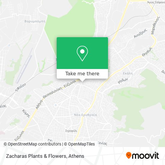 Zacharas Plants & Flowers map