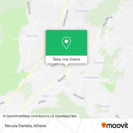Necula Daniela map