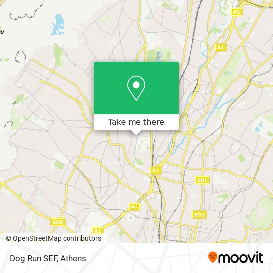 Dog Run SEF map