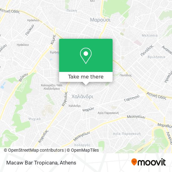 Macaw Bar Tropicana map