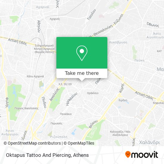 Oktapus Tattoo And Piercing map